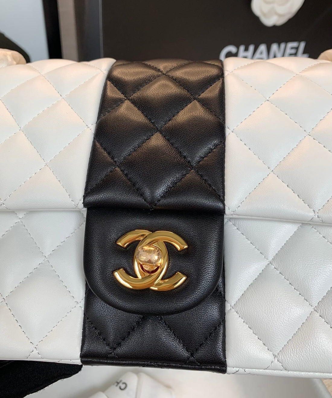 Chanel Mini Flap Bag 25cm White