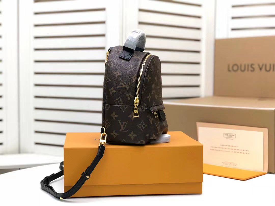 Louis Vuitton Palm Springs Mini Backpack Bag 22cm Monogram Canvas Spring/Summer Collection, Brown
