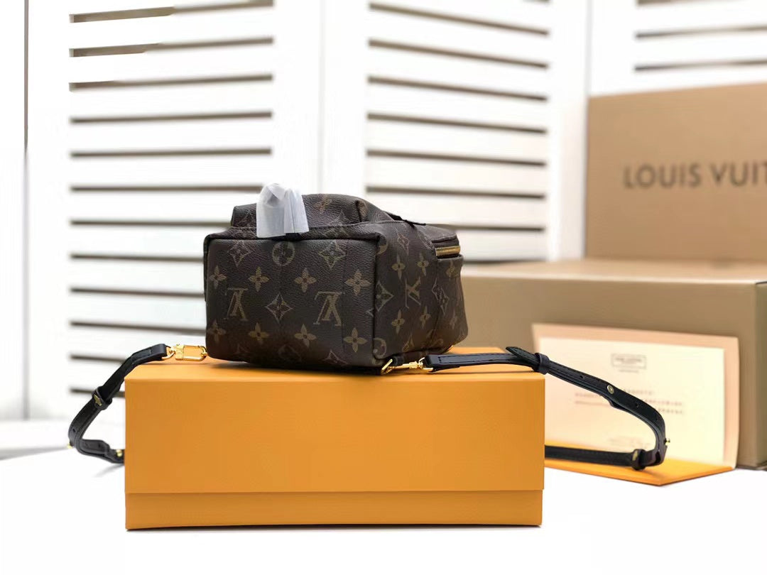 Louis Vuitton Palm Springs Mini Backpack Bag 22cm Monogram Canvas Spring/Summer Collection, Brown