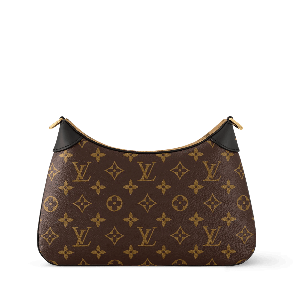 Women's LV Twinny Monogram Canvas Crossbody Bag
