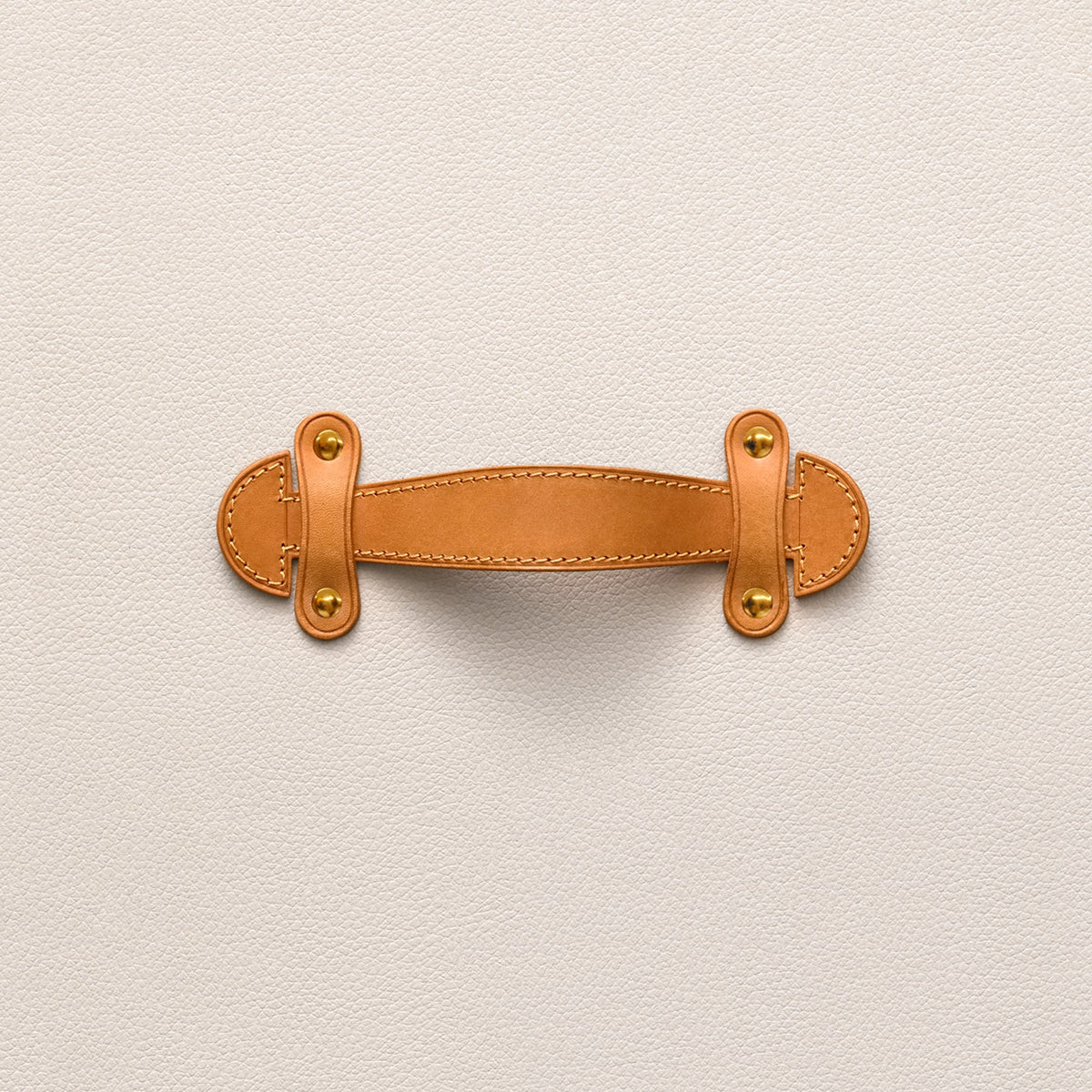 Petit Noé Monogram Coated Canvas Gold-Toned Hardware