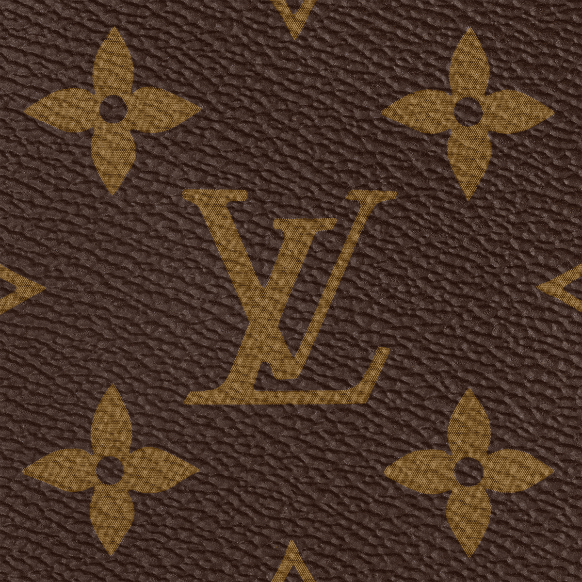 Women's Speedy Bandoulière 20 Monogram Coated Canvas Crossbody Bag M46234